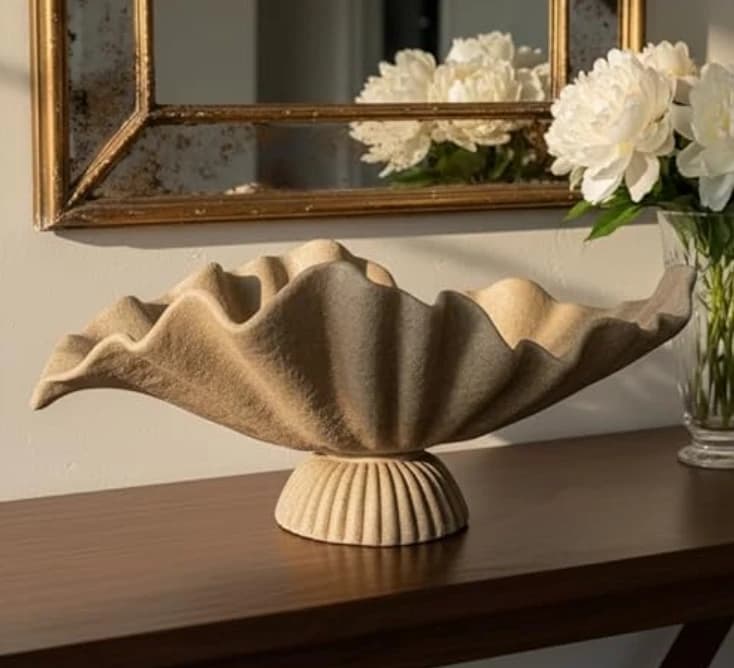 Amazon Organic Modern Decor