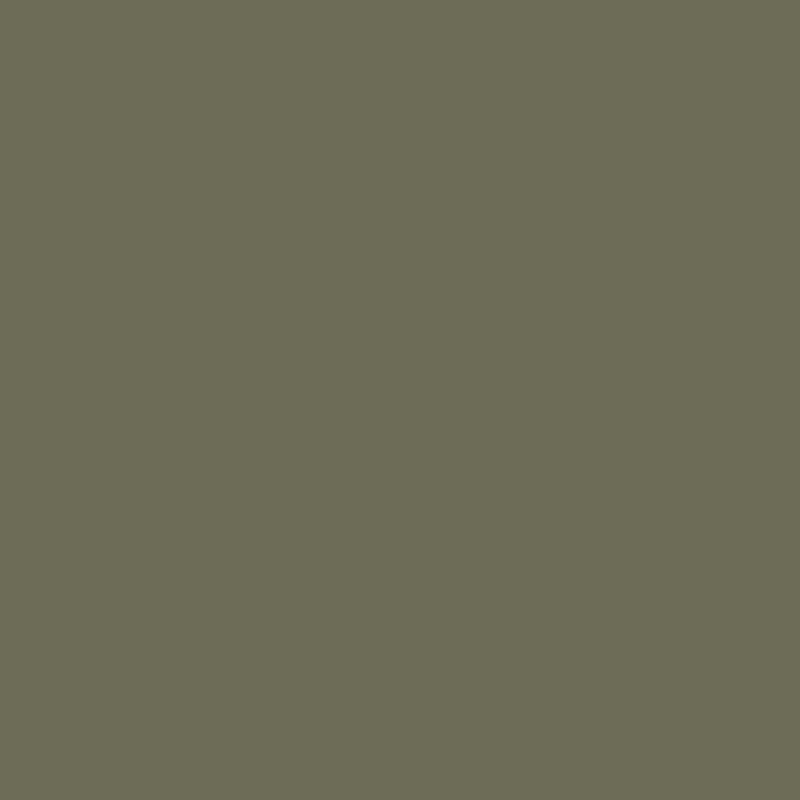 Prickly Pear Limewash Paint